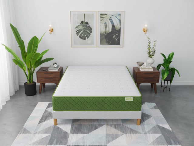 Matelas PANDA GREEN 24cm Non Roulé
