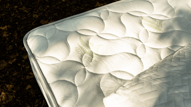 Matelas ALOE VERA Hauteur 27cm Aloe Vera