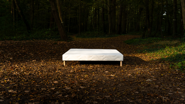 Sommier Tapissier FIRST Blanc