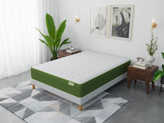 Matelas PANDA GREEN 24cm Non Roulé