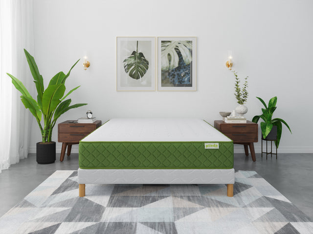 Matelas PANDA GREEN 24cm Non Roulé