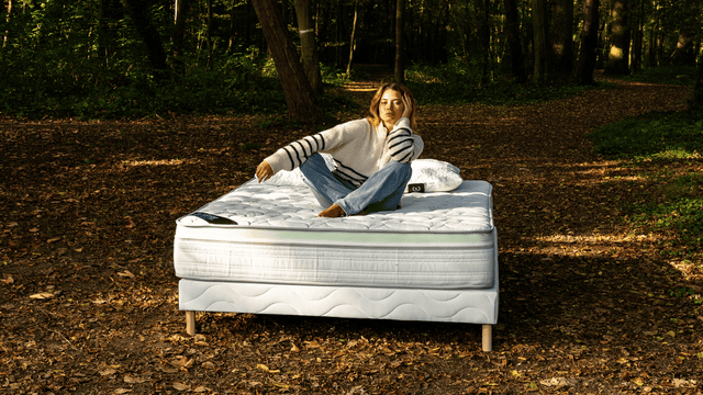 Matelas ALOE VERA Hauteur 27cm Aloe Vera