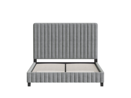 Lit VOGUE