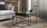 Table basse Quinn – set de 2 bois de manguier